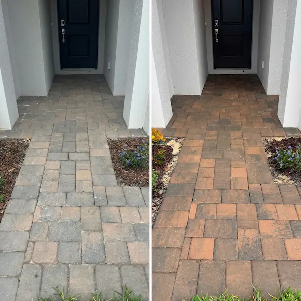 Gallery Image gallery-13