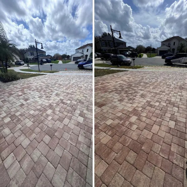 Gallery Image gallery-2