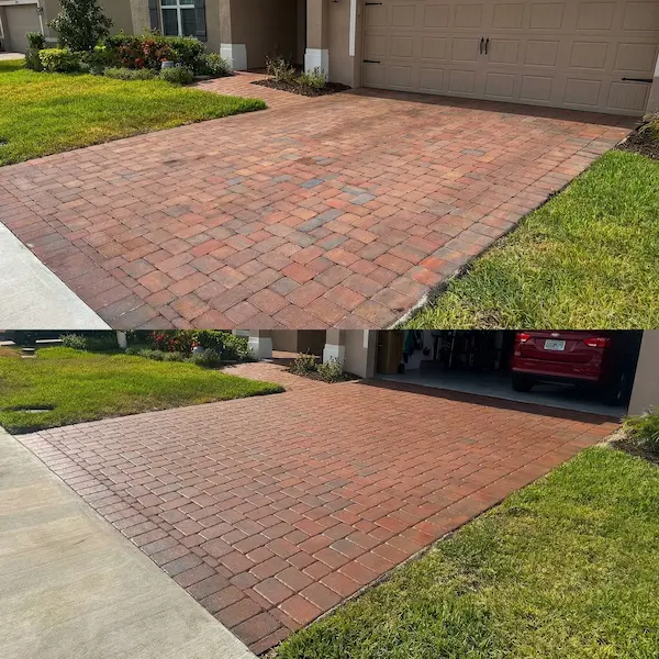 Gallery Image gallery-6